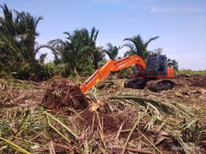 Merusak Ekosistem Gambut Di Kuala Kampar,  Dr Elviriadi : HGU PT TUM Cacat Hukum