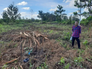 LBH Tri Marta Bertuah Jangan Bersandiwara, Akan ‘Bongkar’ Kebun Manggis Diduga Dalam Kawasan Hutan