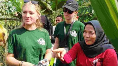 Antusias Para Pelajar Belanda Ikut Memanen Jagung & Singkong di Desa Sukawening Bogor