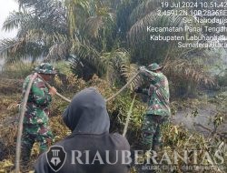 Personel Koramil Jajaran Kodim 0321/Rohil Bersinergi dengan Tim Gabungan lakukan Verifikasi dan Pemadaman Titik Api