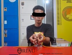 Tim Elang Kuantan Polres Kuansing Tangkap Kurir Sabu di Sentajo Raya