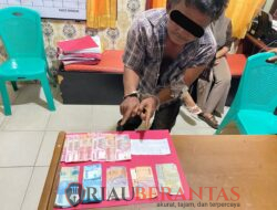 Pelaku Pencurian dengan Kekerasan di BRILink Desa Petai Berhasil Diamankan Polsek Singingi Hilir