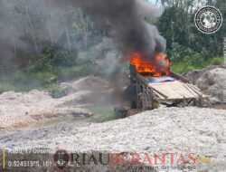 48 Rakit PETI dimusnah oleh Tim Gabungan, Dilahan Kebun Karet milik Pemkab, Kuansing