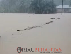 Breaking News: Sungai Batang Anai Meluap, Banjir Rendam Permukiman Warga di Lubuk Alung