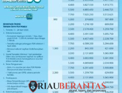 PLN Hadirkan Promo _“Power Up Real”_, Diskon Tambah Daya 50%