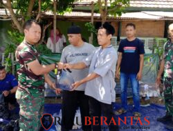 Semangat Berbagi Idul Adha, Kodim 0603/Lebak Hadirkan Kebahagiaan Lewat Daging Kurban