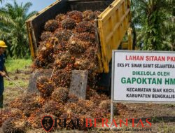 Gapoktan HMJ Setor Hasil Panen Kebun Sitaan PKH ke Negara, Siap Kelola Eks PT SSS Secara Berkelanjutan