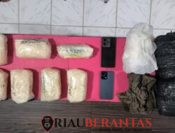 Dikubur dalam Tanah, 7 Kg Sabu Milik Jaringan Narkoba Berhasil Diungkap Polda Riau