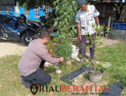 Dukung Kemandirian Pangan, Bhabinkamtibmas Polsek Limapuluh Tinjau Kebun Warga di Cintaraja