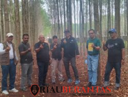 Agroforestri Bengkalis Dibidik Jadi Mesin Ekonomi, KADIN Riau Gandeng Pengusaha Porang