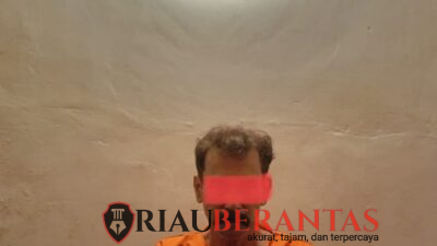 Diduga Edarkan Sabu, Pria 52 Tahun di Pinggir Diciduk Polisi