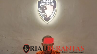 Pencuri Sawit Diamankan, Dua Paket Sabu Ditemukan