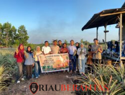 HIPMI PT UNRI Dorong UMKM Nenas Rimbo Panjang Naik Kelas