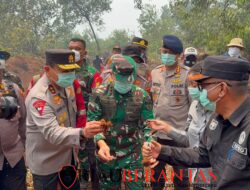 Pangdam XIX/Tuanku Tambusai Cek Langsung Penanganan Karhutla di Kerumutan