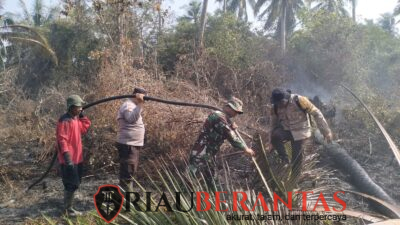 Kolaborasi di Tengah Kobaran Api, Kodam XIX/Tuanku Tambusai Bersama Unsur Gabungan Tangani Karhutla Secara Terpadu di Bengkalis