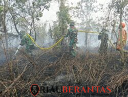 Hadapi Cuaca Panas Ekstrem, Kodam XIX/Tuanku Tambusai Perkuat Operasi Pemadaman Karhutla di Kampar