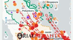 Polda Riau Intensifkan Penanganan Karhutla, 313 Hotspot Terdeteksi di Wilayah Riau