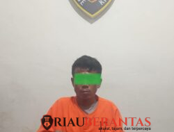Pelaku Sabu Di Semunai Diamankan Opsnal Polsek Pinggir