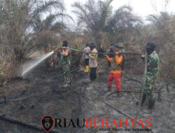 Kodam XIX Tuanku Tambusai Tuntaskan Pemadaman Karhutla di Toro Jaya