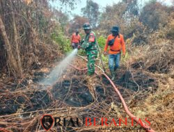 Babinsa Kodim 0322/Siak Bersama Tim Gabungan Kendalikan Karhutla di Kampung Mengkapan