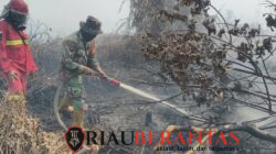 Koramil 07 Kodim 0313/Kampar Gencarkan Pemadaman Karhutla Secara Masif