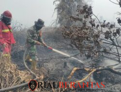 Koramil 07 Kodim 0313/Kampar Gencarkan Pemadaman Karhutla Secara Masif