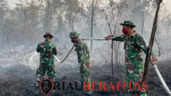 Prajurit Yon Arhanud 13/PBY Bergerak Cepat Padamkan Karhutla di Rimba Panjang
