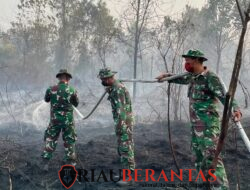 Prajurit Yon Arhanud 13/PBY Bergerak Cepat Padamkan Karhutla di Rimba Panjang