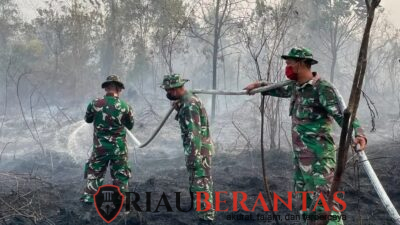 Prajurit Yon Arhanud 13/PBY Bergerak Cepat Padamkan Karhutla di Rimba Panjang