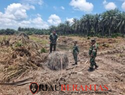 Kodim 0321/Rohil Perkuat Pencegahan Karhutla, Tim Mabes TNI Patroli di Bagan Sinembah