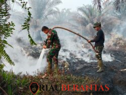 Cegah Api Meluas, Kodam XIX/Tuanku Tambusai Intensifkan Patroli dan Pemadaman di Siak