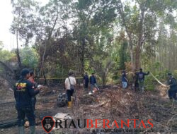 Buronan Kasus Karhutla di Siak Ditangkap, Sempat Halangi Pemadaman demi Selamatkan Sawit