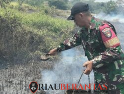Kodam XIX/Tuanku Tambusai Perkuat Penanganan Karhutla, Tiga Hektare Lahan Berhasil Diamankan