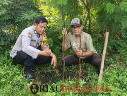 Wujud Nyata Jaga Lingkungan, Polsek Limapuluh Tanam Bibit Kaliandra dan Petai di Kelurahan Pesisir
