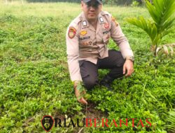 Kejar Target 1 Juta Pohon, Polsek Limapuluh Tanam Bibit Mangga dan Sirsak di Lapangan Pelajar