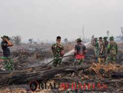 Kodam XIX/Tuanku Tambusai Perkuat Penanganan Karhutla di Inhu, Pemadaman 3 Hektare Tuntas