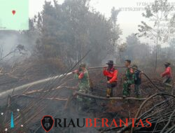 Kodam XIX/Tuanku Tambusai Kerahkan Personel Gabungan Padamkan Karhutla di Bengkalis