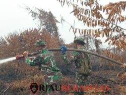 Kodam XIX/Tuanku Tambusai Intensifkan Pemadaman Karhutla di Sejumlah Wilayah Riau