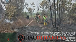 Kodam XIX/Tuanku Tambusai Perkuat Penanganan Karhutla, 1,5 Hektare Lahan di Bengkalis Berhasil Dipadamkan