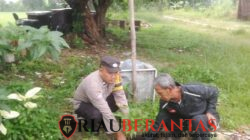 Dipimpin Langsung Kapolsek, Polsek Limapuluh Tanam Mangga dan Sirsak di Jalan Chatib Sutan