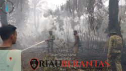 Kodam XIX/Tuanku Tambusai Dorong Penanganan Karhutla Terpadu di Kuala Cenaku