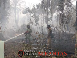 Kodam XIX/Tuanku Tambusai Dorong Penanganan Karhutla Terpadu di Kuala Cenaku