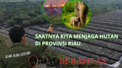 Jejak Hijau Lestari Ajak Masyarakat Jaga Hutan Riau, Lindungi Ekosistem dan Masa Depan Generasi