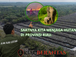 Jejak Hijau Lestari Ajak Masyarakat Jaga Hutan Riau, Lindungi Ekosistem dan Masa Depan Generasi
