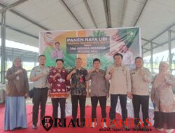 Perkuat Ketahanan Pangan, DPP Tani Merdeka Dorong Riau Miliki Pabrik Pengolahan Ubi